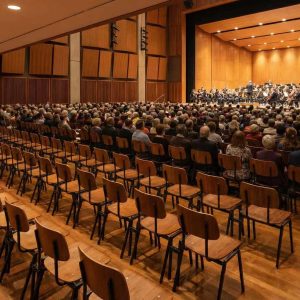 Super-Seat | Koppelstoelen Rietveld bruin / zwart | Bruine en zwarte houten stoelen in concertzaal met hout en gepolijste vloeren, moderne look. | Horecameubilair